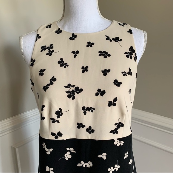 NWOT Ann Taylor Cream And Black Floral Print Dress Size 6 - Picture 2 of 8